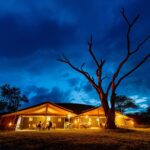 How To Make The Most Of Your Holiday in Tanzania
