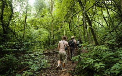 Rubondo-Island-Camp-15