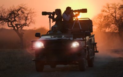 photographic-safari-phinda